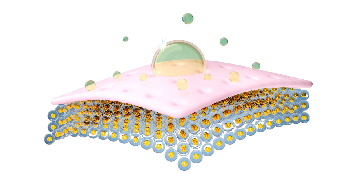 Já ouviu falar na barreira cutânea?